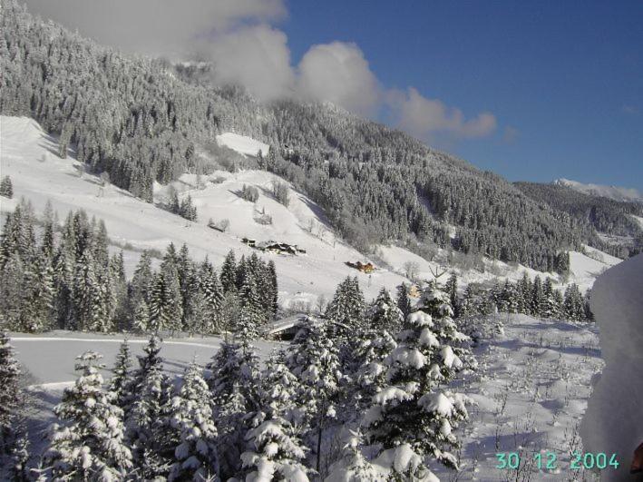 Ferienapartments Reusch Sankt Martin am Tennengebirge Buitenkant foto